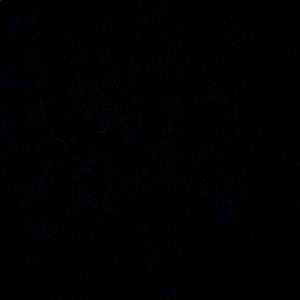 Meet your Posher, Tiana